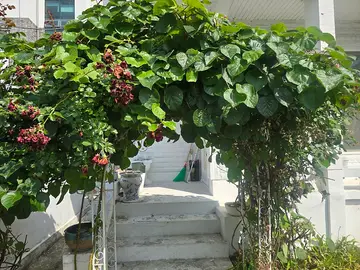 대전 마당정리 비용|가장동 주택 폐기물 철거 후 자갈시공까지 현장 사진